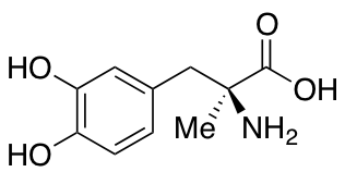 {$productinfo->name}