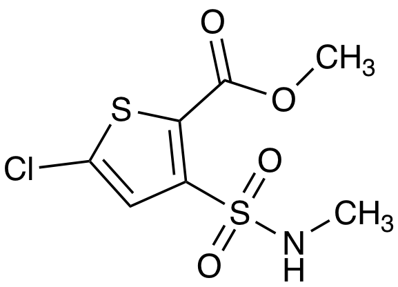 {$productinfo->name}