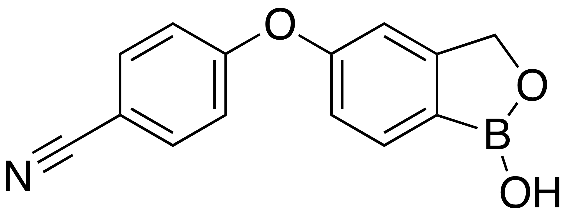 C4X-202113