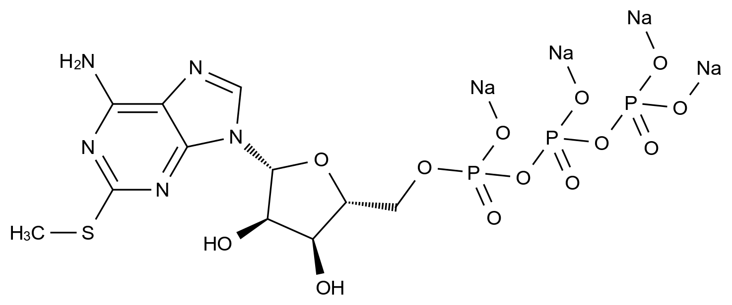100020-57-3_2-Methylthio-ATP tetrasodium