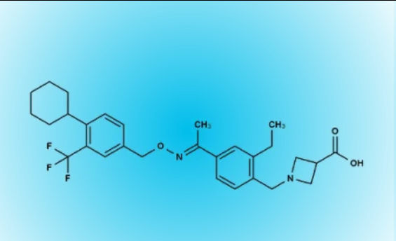 1757662245879890.png 圖片.