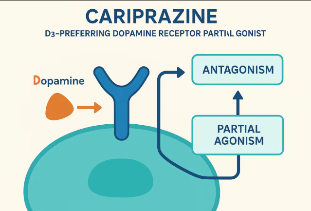 1758770109842432.png 1758770109842432.